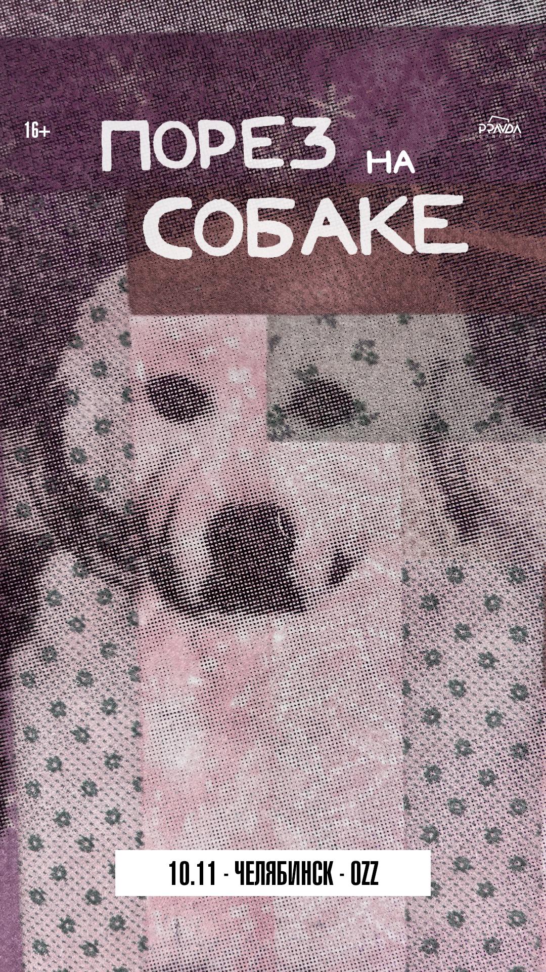 Порез на собаке (ЧЕЛЯБИНСК)